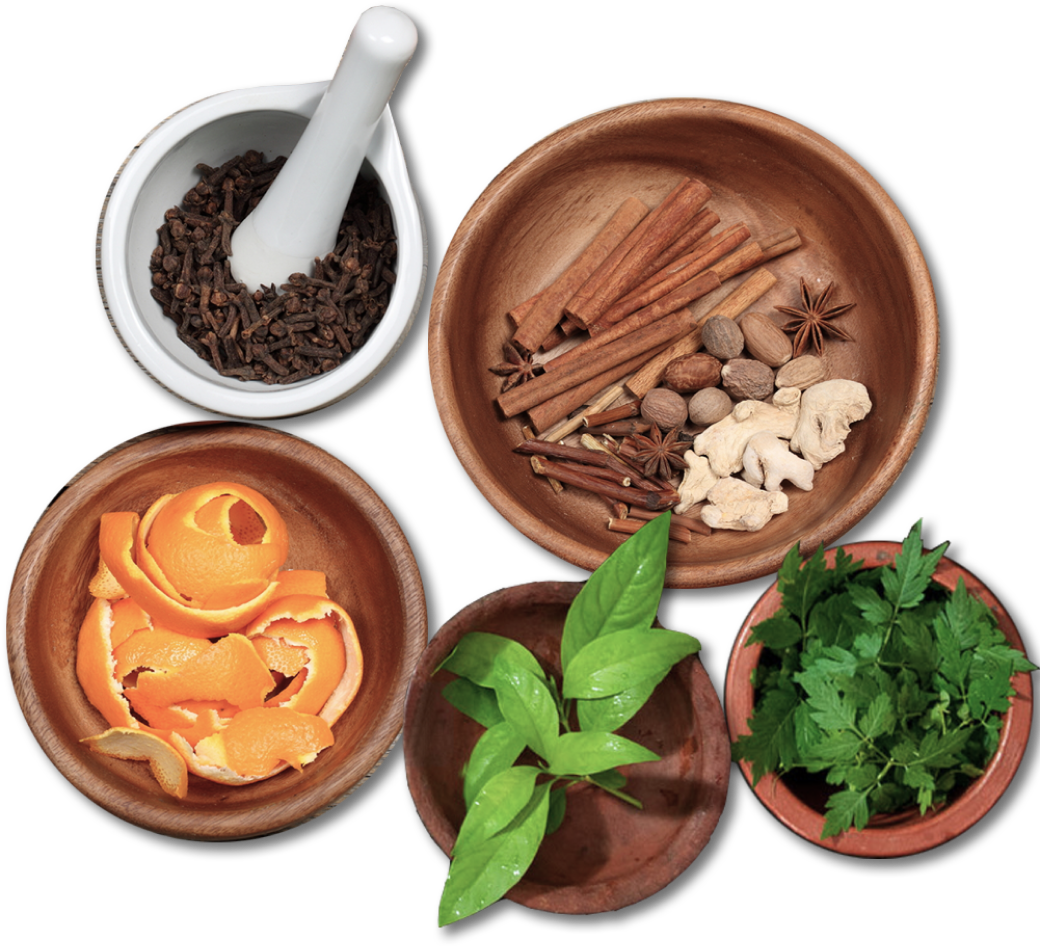 Ayurveda hero image ayurveda image
