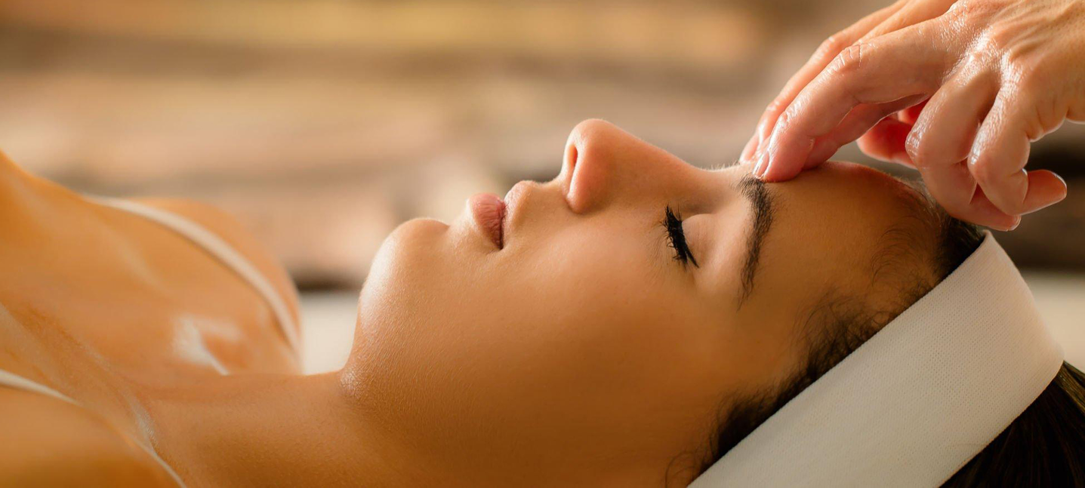 soundarya vardini image